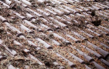 Kibblesworth roof cleaning companies